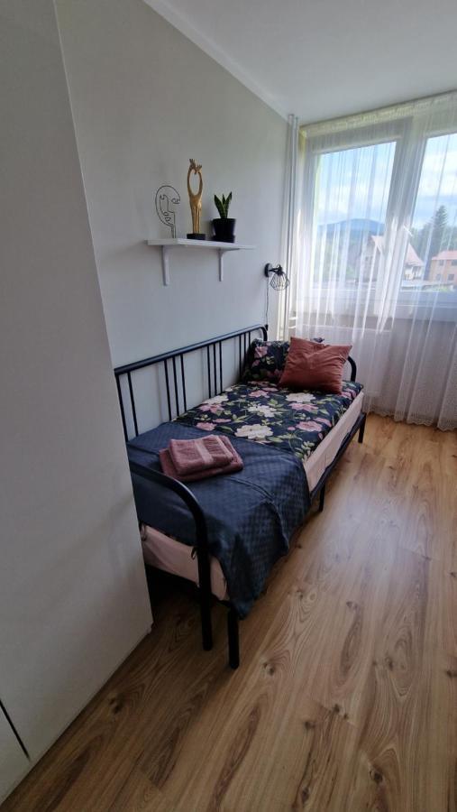 Stronie ŚląskieApartament Spoko-Loko公寓 外观 照片